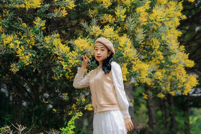 Truyền thuyết loài hoa trinh nữ vàng ở Đà Lạt