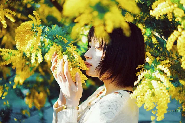 Truyền thuyết loài hoa trinh nữ vàng ở Đà Lạt