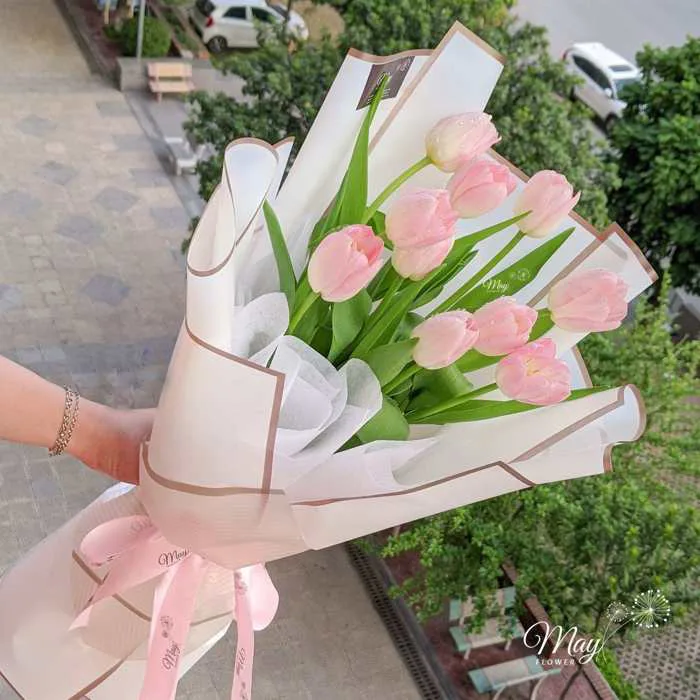 Ý nghĩa hoa tulip - Loài hoa mang nhiều ý nghĩa trong cuộc sống