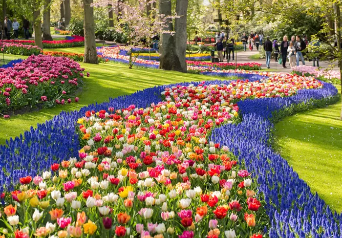 Du Lịch Châu Âu Mùa Hoa Tulip: Top 5 Địa Điểm Ngắm Hoa Đẹp Nhất Bạn Đã Biết  Chưa? - Công ty Du Lịch Triều Hảo