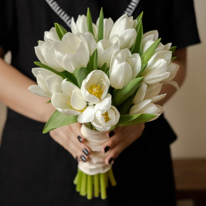 hoa-tulip-trang-1