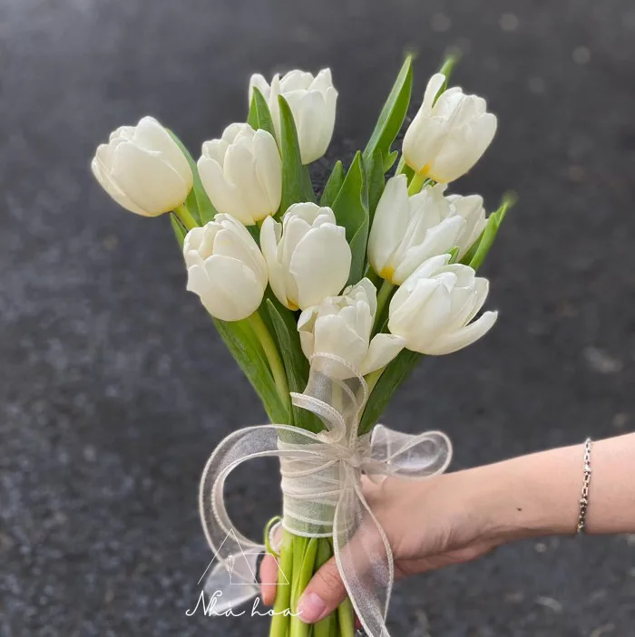 BÓ HOA TULIP TRẮNG CẦM TAY CÔ DÂU - Website Nhà Hoa