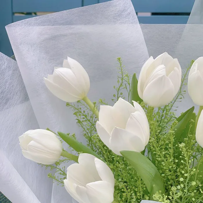 Bó Hoa 10 bông tulip trắng hà lan tặng 20/10 – Hoa Tháng Tư