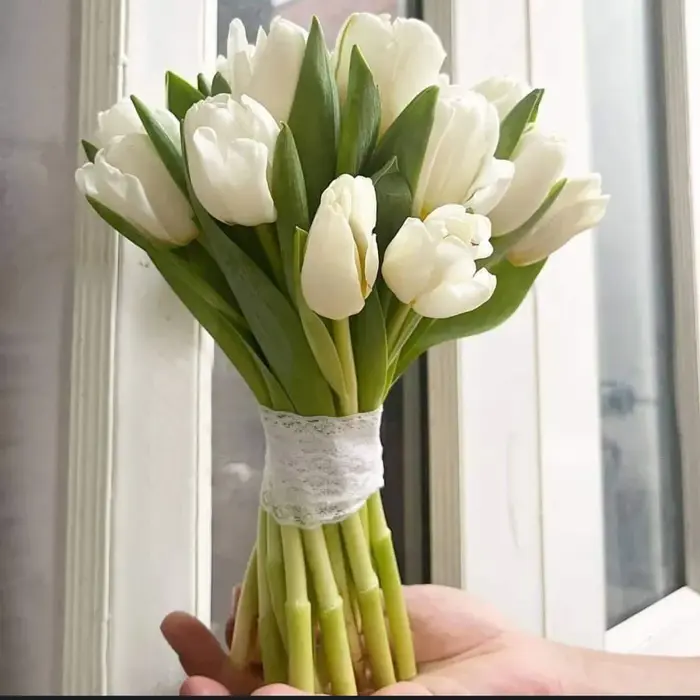 TLT0031 - Hoa cưới Tulip trắng thuần khiết | Siêu Thị Hoa Cưới – Hoa Cưới  Cô Dâu & Trang Trí Xe Hoa Đẹp, Giá Rẻ Tại TP.HCM