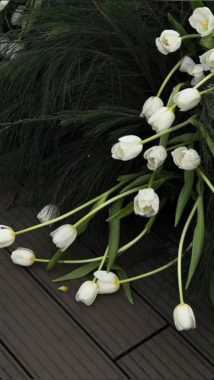 Ý nghĩa bó hoa cưới Tulip cầm tay cô dâu