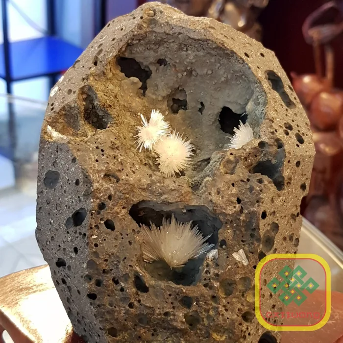 Đá Aragonit ( Hoa Ưu Đàm ) Thiên Nhiên - DTB139 - Phong Thủy Cát Tường