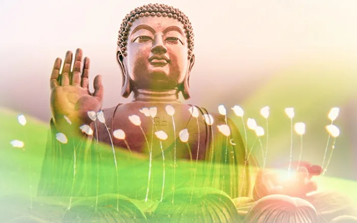 Hoa ưu đàm độc đáo như thế nào và có thật là hoa ưu đàm 3000 năm mới nở 1  lần?