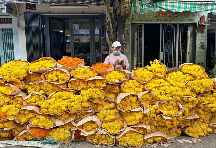 Cúc vạn thọ 'xả lỗ' đầy chợ hoa lớn nhất TP.HCM: Tiểu thương mong ngóng