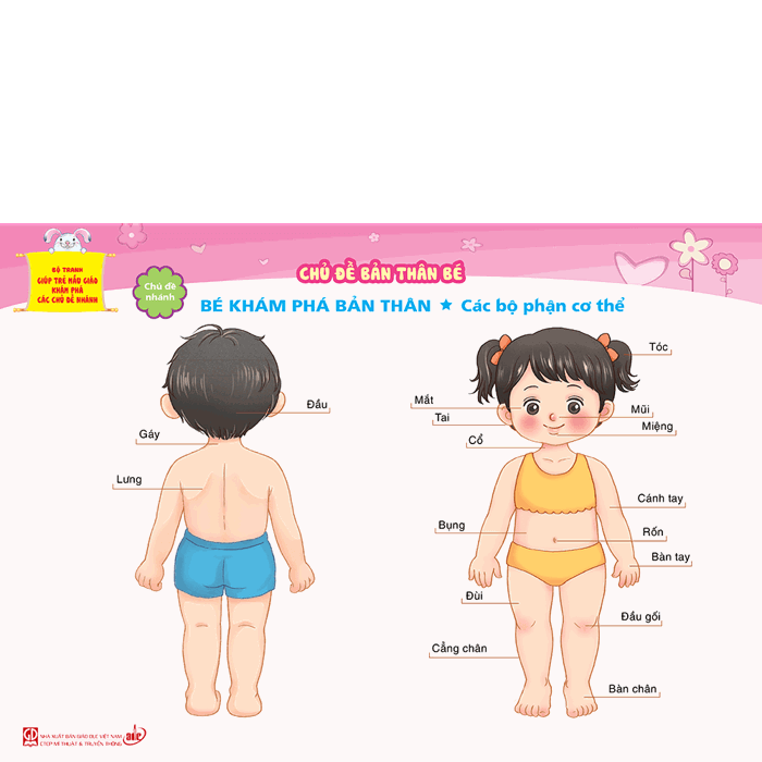 Bộ tranh giúp trẻ mẫu giáo khám phá các chủ đề nhánh - Chủ đề Bản thân bé -  Vietnam International half marathon