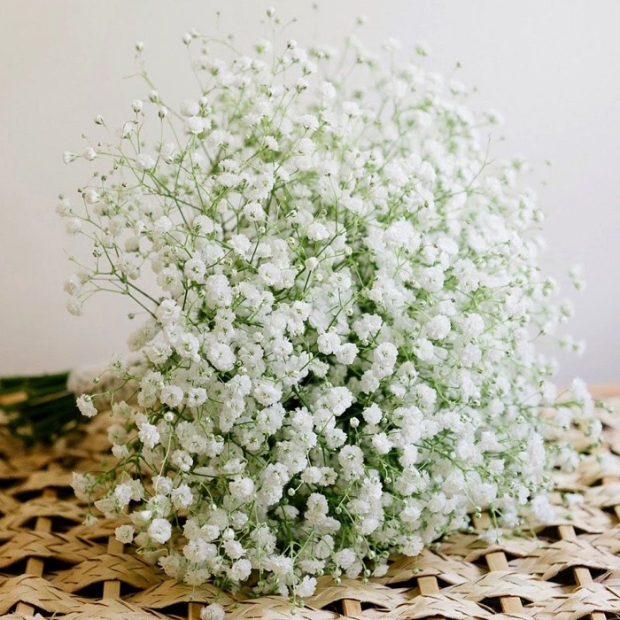 y-nghia-hoa-baby-1