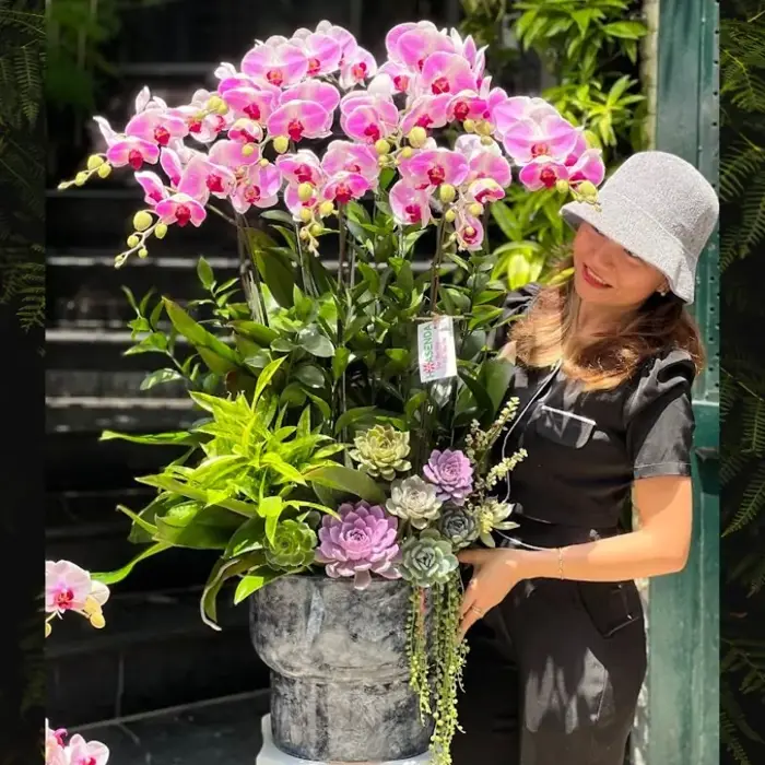 Bình Lan Hồ Điệp Để Bàn - Hoa Sinh Nhật Đẹp Tươi Lâu