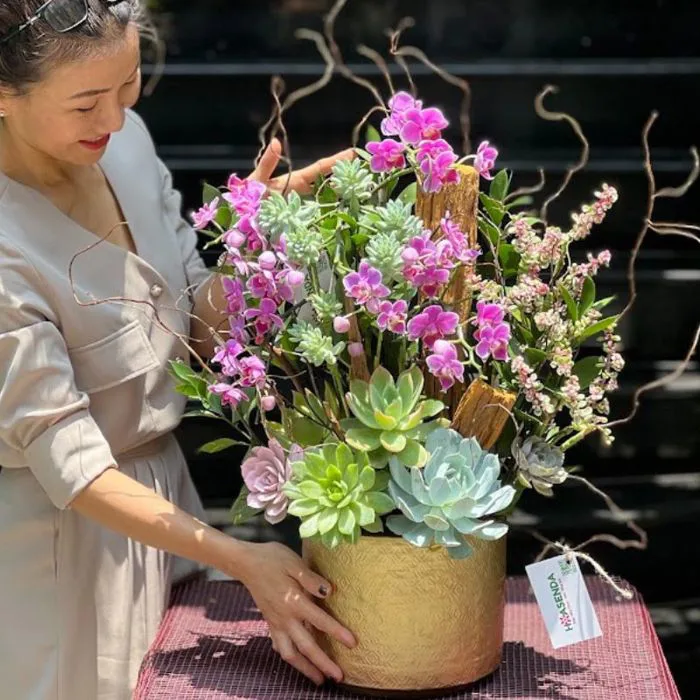 Hoa Sinh Nhật Cho Bạn Gái - Bình Hoa Lan Hồ Điệp Mini Hồng Để Bàn Trồng  Cùng Sen Đá, Gỗ Lũa