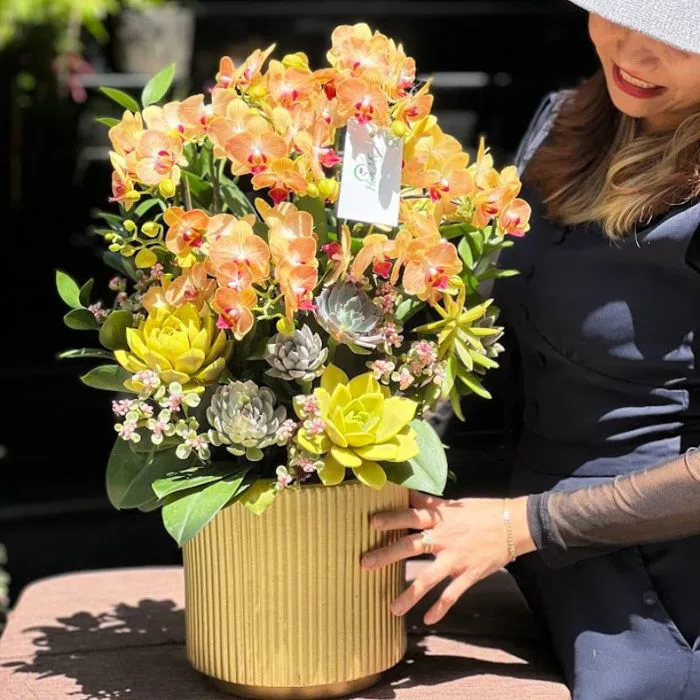 Chậu Lan Hồ Điệp Mini Để Bàn, Hoa Sinh Nhật Cho Nam Giới, Nữ Giới Ấn Tượng  Khó Quên
