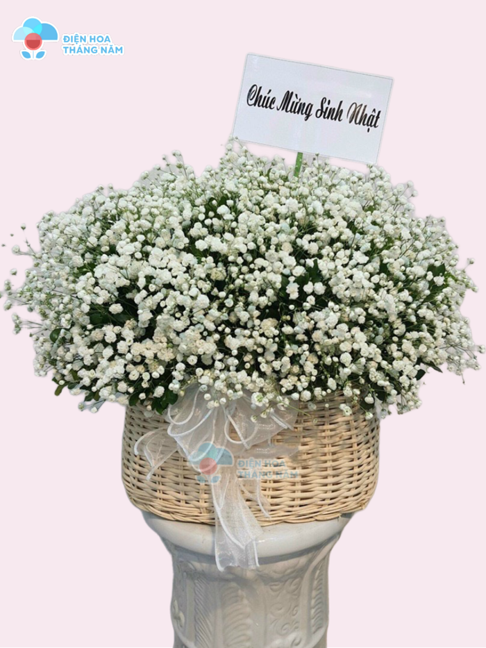 Giỏ Hoa BaBy ( hoa bi) Trắng - GH30