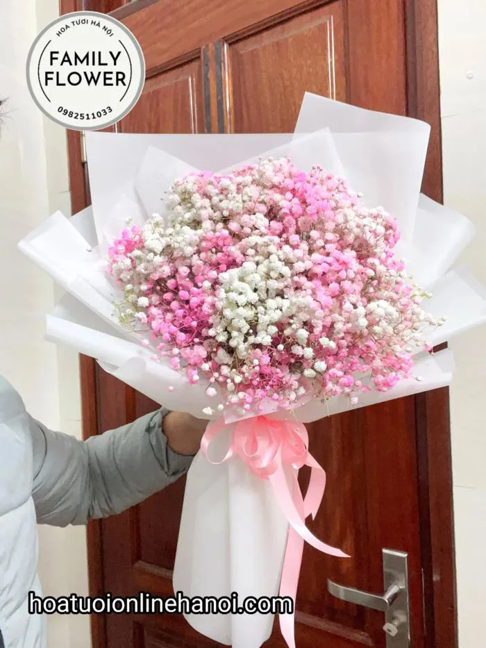 Hoa Baby Hà Nội . bó hoa baby tặng sinh nhật bạn bè , người yêu quận BA  ĐÌNH , CẦU GIẤY