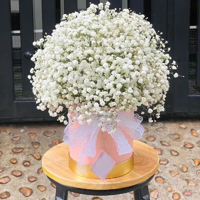 Lẵng Hoa Baby Tặng Sinh Nhật - Tiệm Hoa Madi