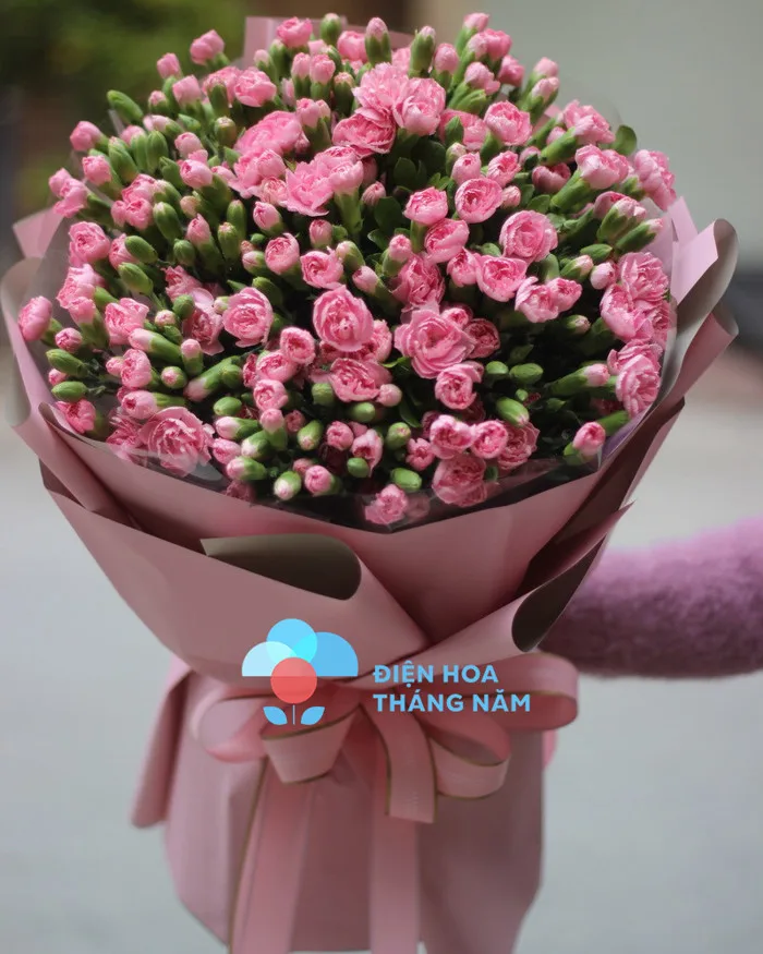 Bó Cẩm Chướng Hồng Lớn - BH53 - Điện Hoa Tháng Năm