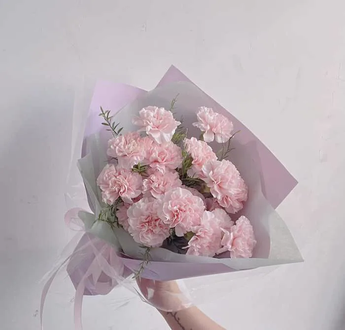 Pink Carnation - FlowerSight - Tiệm Hoa Cẩm Chướng HCM