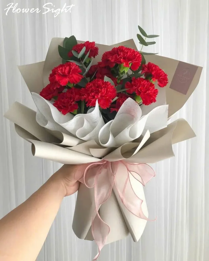 88+ Mẫu Bó Hoa Cẩm Chướng đẹp Giá Chỉ Từ 300K - FLowerSight