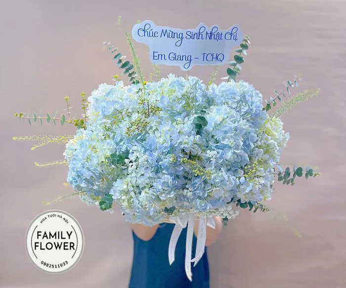 Hoa cẩm tú cầu Hà Nội - Lẵng hoa tặng sinh nhật ở Hà Nội | Hoa