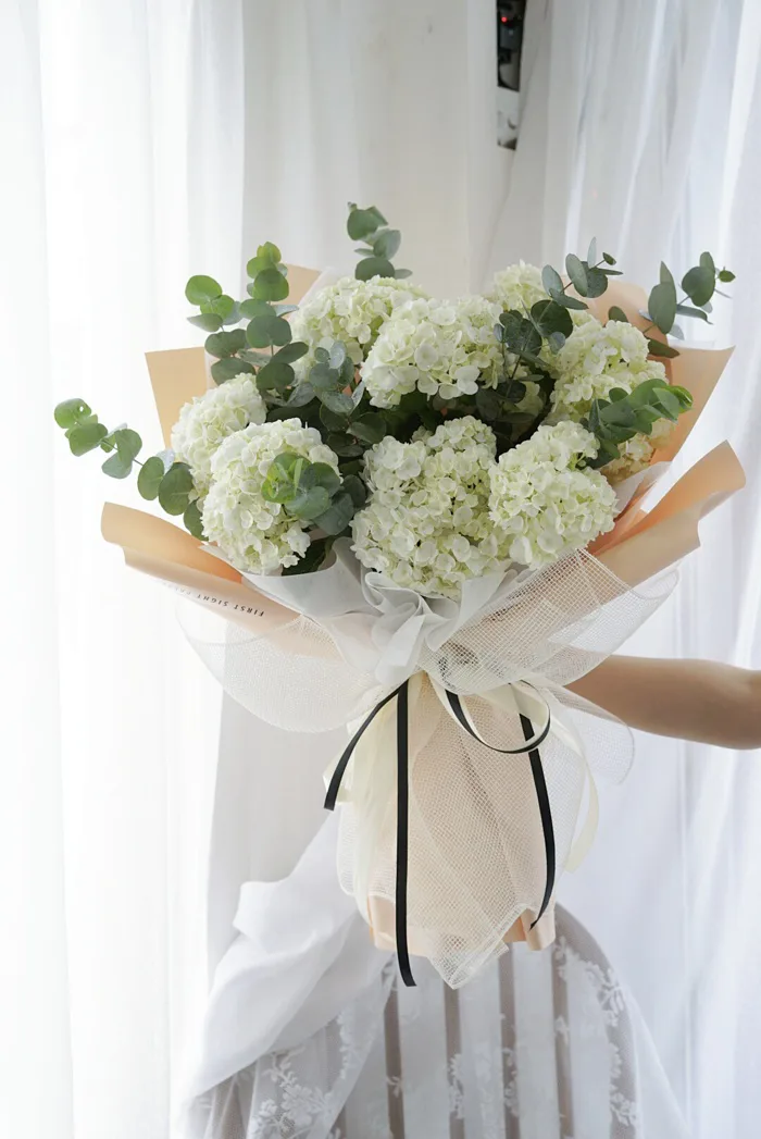Bó Hoa Cẩm Tú Cầu Fleur Tiêu Chuẩn BN25