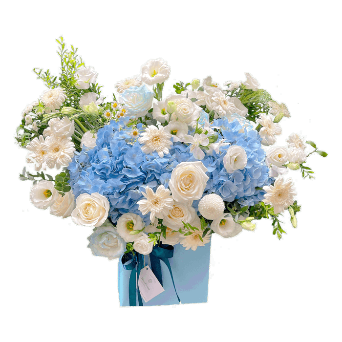 Lẵng Hoa Cẩm Tú Cầu Xanh - Heraflower.vn | Hoa tươi giao trong ngày | Món  quà yêu thương