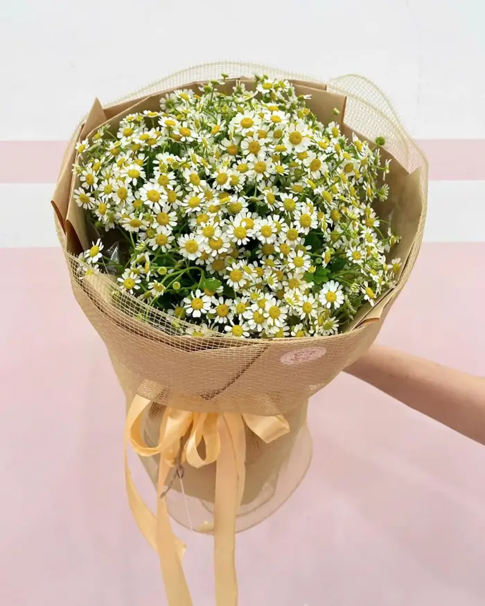 Bó hoa cúc tana đẹp giá chỉ từ 350K - Giao tận nơi miễn phí
