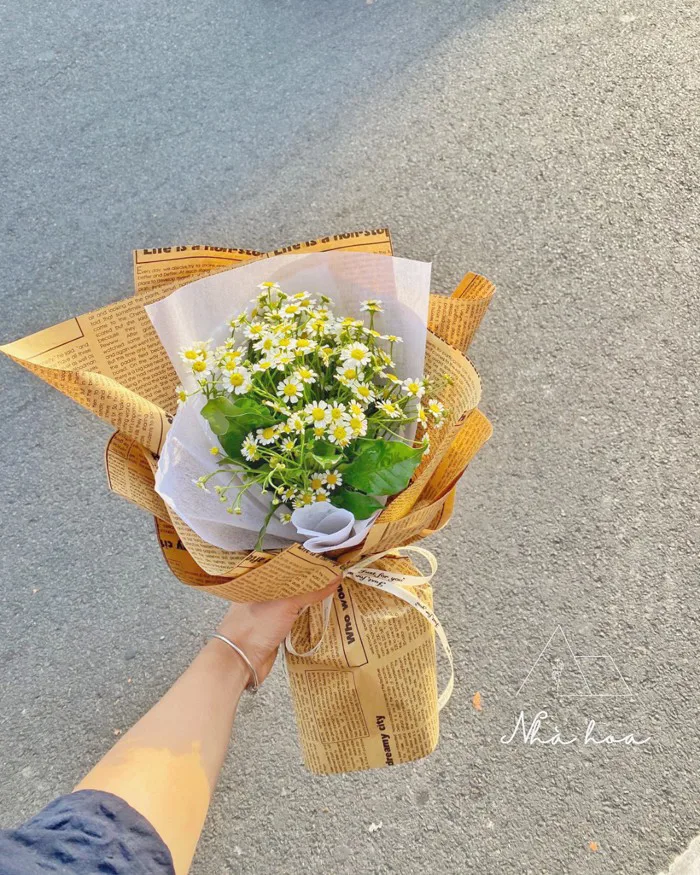 BÓ HOA CÚC TANA NHỎ - Website Nhà Hoa