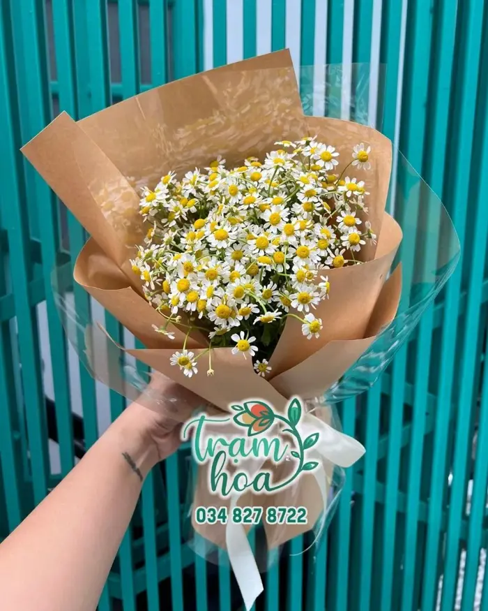 Bó Hoa Cúc Tana Mini B056 – Cúc Tana Mini | Trạm Hoa