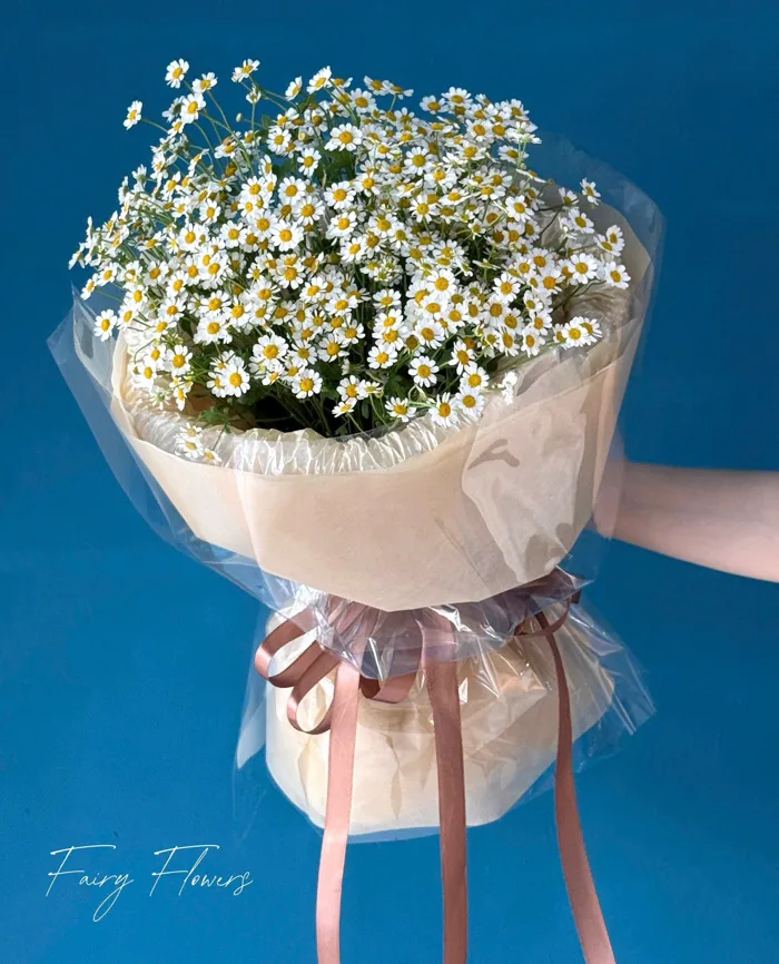 Bó Hoa Cúc Tana Màu Trắng MS030 - FAIRY FLOWERS | GỬI TỚI YÊU THƯƠNG