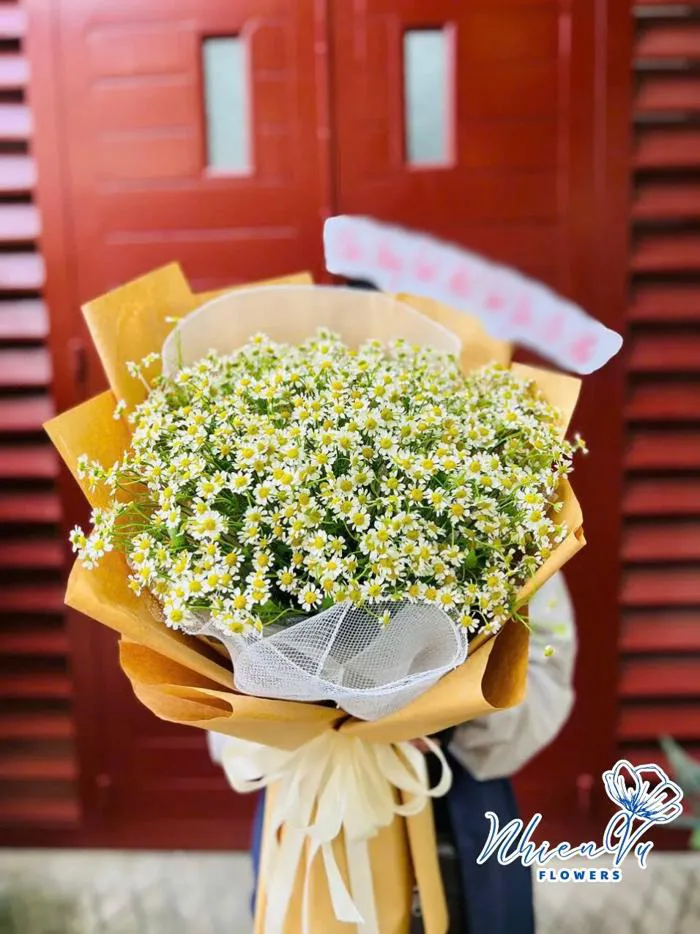 Bó Hoa Cúc Tana Đẹp BHT021