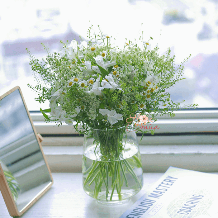 Hoa Thuỷ Tiên trắng mix Cúc Tana - Daily Flower 31