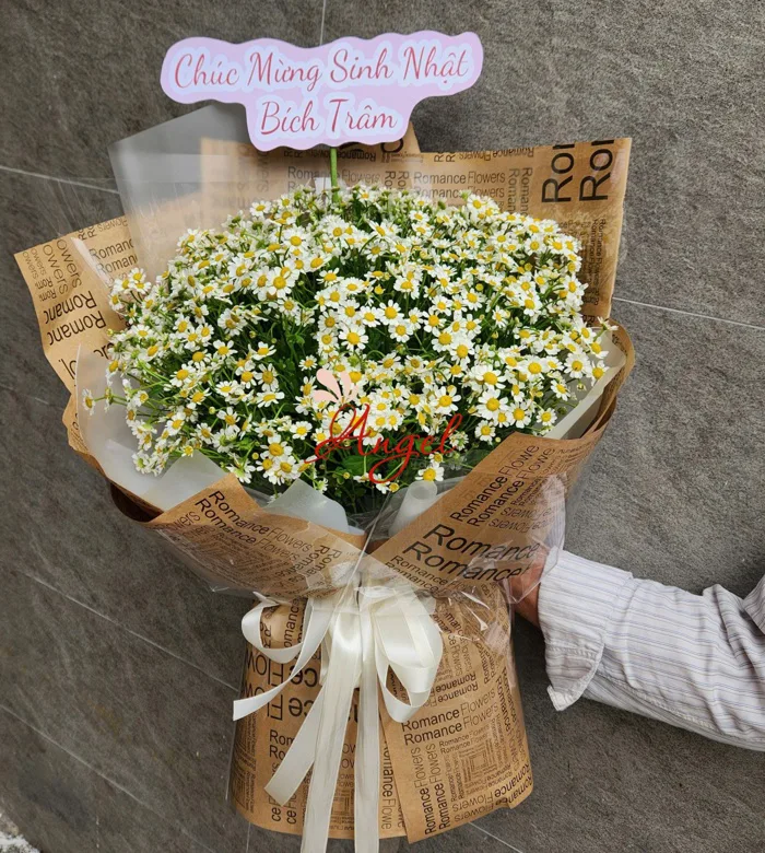 Bó Hoa Cúc Tana Giá Rẻ
