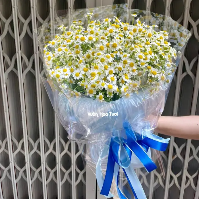 Bó Hoa Cúc Tana Tặng Sinh Nhật Hàn Quốc