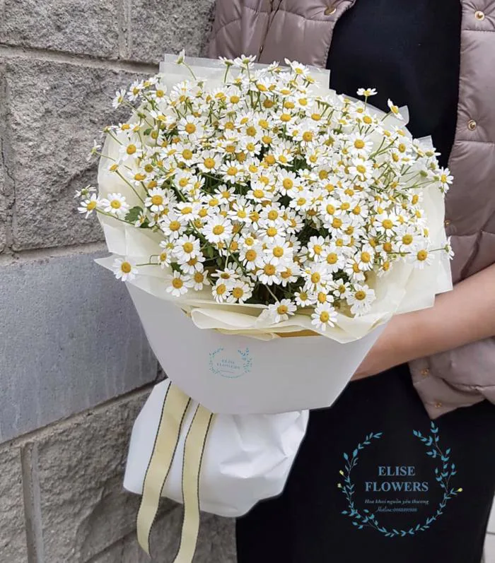 Bó hoa cúc Tana nhỏ xinh - loài hoa nhẹ nhàng ngày sinh nhật