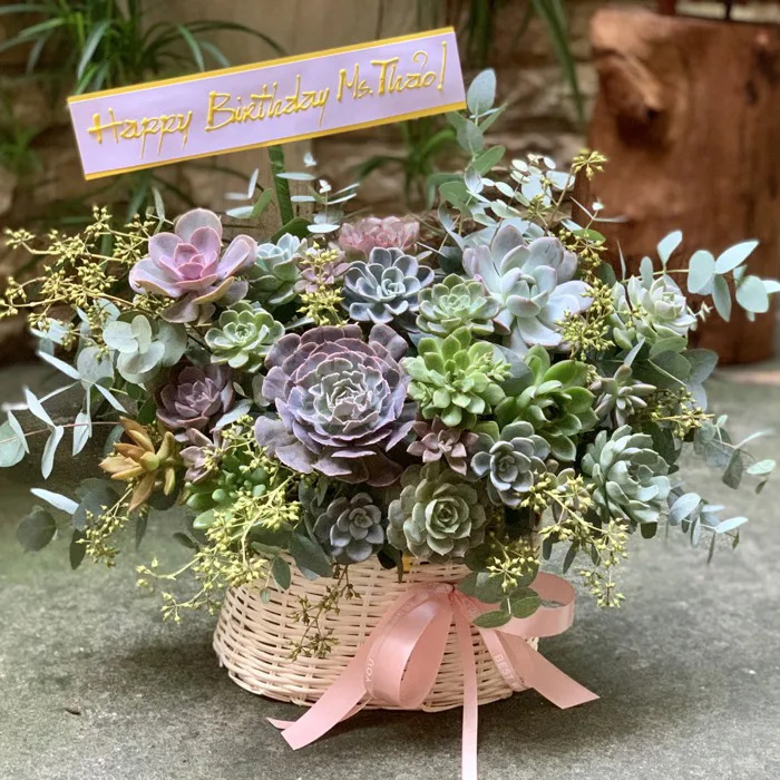 Giỏ hoa sen đá tặng sinh nhật