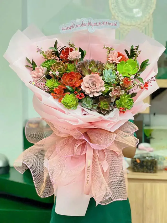 Bó Hoa Sinh nhật Sen đá - Tuổi hồng - B15377