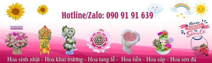 Bó Hoa Thạch Thảo Tím Lovely - Hoatuoidatviet.vn
