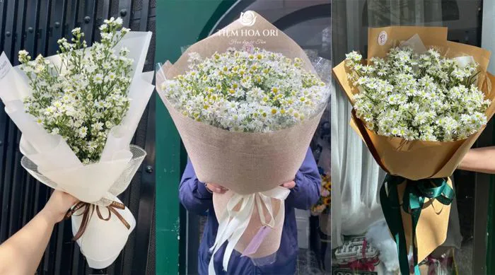 Ý nghĩa hoa thạch thảo trắng | Tiệm Hoa Ori