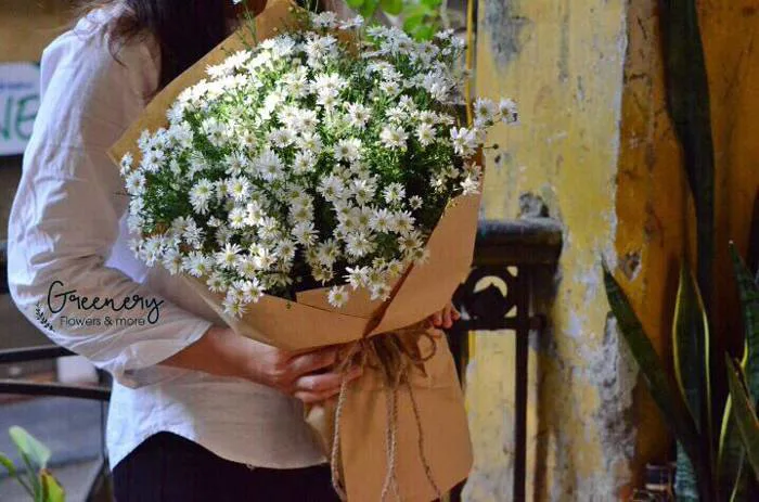 TÌM HIỂU Ý NGHĨA HOA THẠCH THẢO NHỎ BÉ, MỎNG MANH | Hanoi Florist