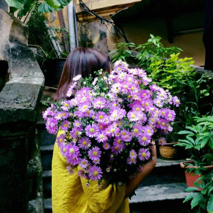 TÌM HIỂU Ý NGHĨA HOA THẠCH THẢO NHỎ BÉ, MỎNG MANH | Hanoi Florist