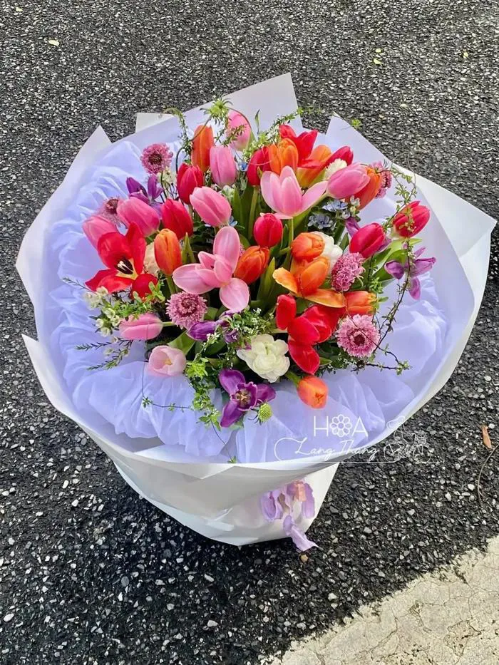 Bó Hoa Tulip 20 Bông Tặng Sinh Nhật | Hoa Lang Thang Florist