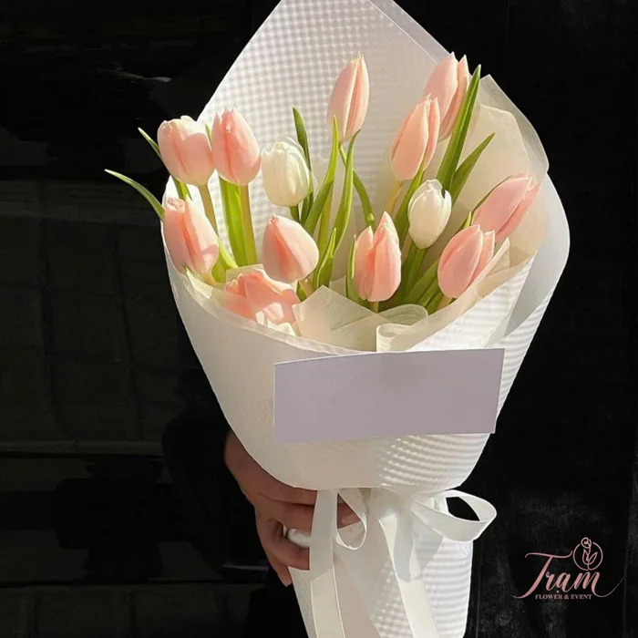 Hồng Dịu Dàng – Bó Hoa Tulip Hồng Nhạt Nhập Khẩu” Hồng Dịu Dàng – Bó Hoa Tulip Hồng Nhạt Nhập Khẩu”