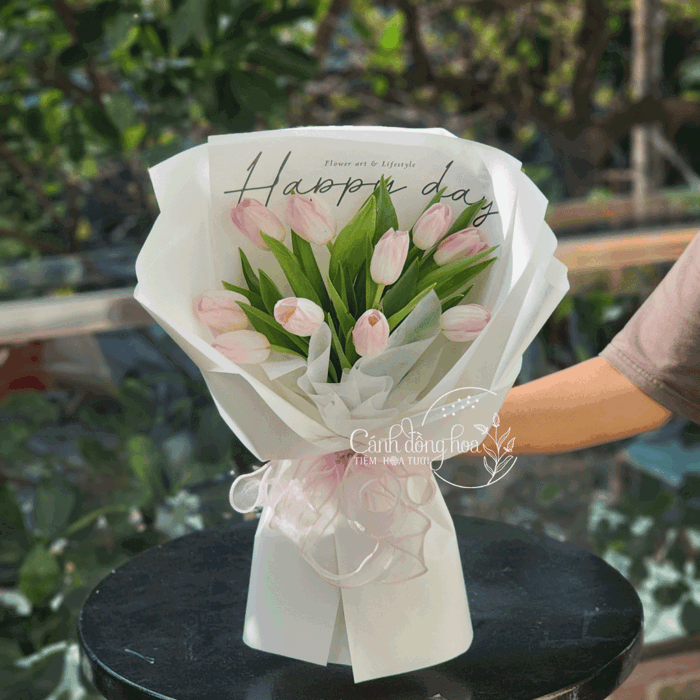 Tulip - Lời Chúc Mừng Sinh Nhật Tulip - Lời Chúc Mừng Sinh Nhật