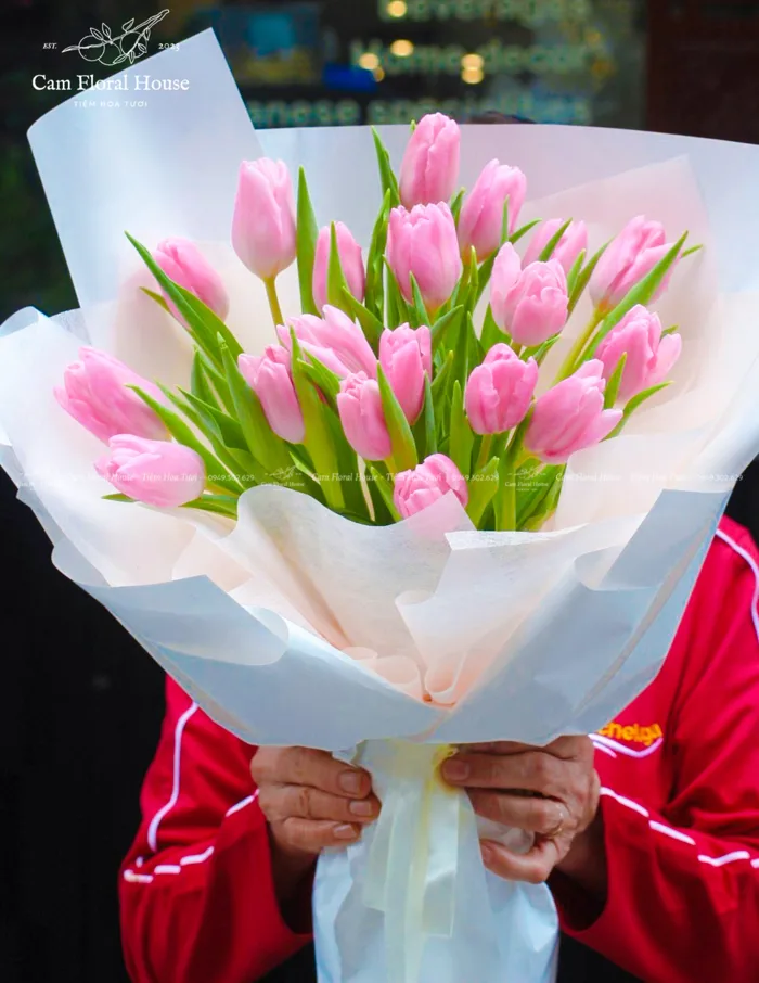 Bó hoa tulip hồng tặng lần đầu gặp mặt Bó hoa tulip hồng tặng lần đầu gặp mặt