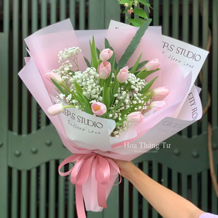 Bó hoa tulip hà lan tặng sinh nhật Bó hoa tulip hà lan tặng sinh nhật